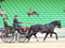 Horse ad