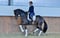 Horse ad