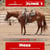 Paardadvertentie