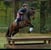 Horse ad