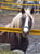 Horse ad