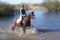Annuncio cavallo