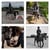 Horse ad