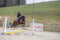 Horse ad