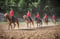 Horse ad