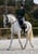 Annuncio cavallo