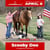 Horse ad