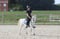 Horse ad