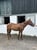 Annonce cheval