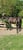 Horse ad