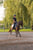 Horse ad