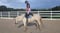 Annuncio cavallo
