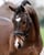 Horse ad