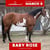 Horse ad