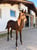 Horse ad