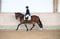 Annuncio cavallo