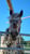 Annuncio cavallo