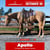 Annuncio cavallo