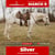 Horse ad