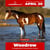 Anuncio de caballos