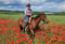 Annonce cheval