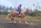 Annonce cheval