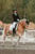 Horse ad