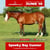 Horse ad