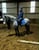 Annuncio cavallo
