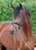 Paardadvertentie