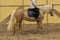 Horse ad