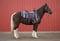 Horse ad