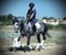 Annuncio cavallo