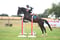 Annuncio cavallo