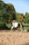 Horse ad
