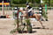 Annonce cheval