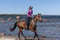 Annuncio cavallo