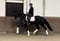 Horse ad