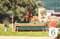 Horse ad