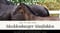 Paardadvertentie