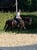 Horse ad