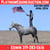 Horse ad