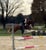 Annuncio cavallo
