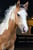 Horse ad
