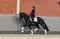 Horse ad