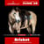 Annuncio cavallo