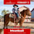 Horse ad