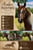 Annuncio cavallo