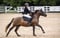 Horse ad