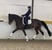 Horse ad